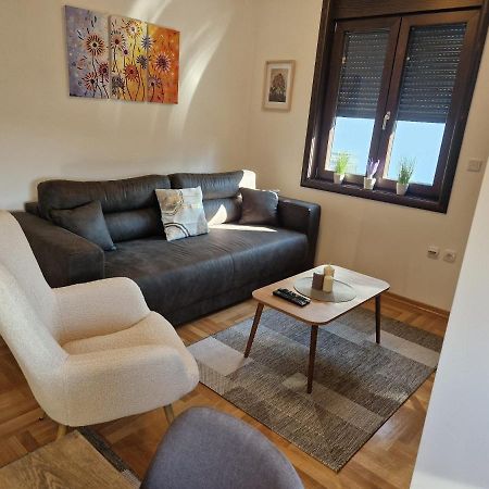 Vrnjačka BanjaMb Luxアパートメント エクステリア 写真