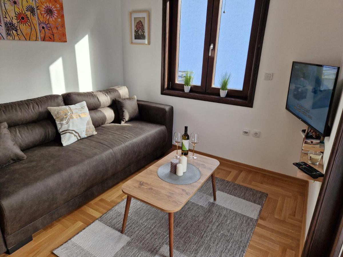 Vrnjačka BanjaMb Luxアパートメント エクステリア 写真