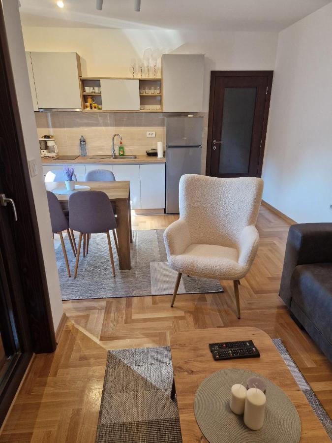 Vrnjačka BanjaMb Luxアパートメント エクステリア 写真